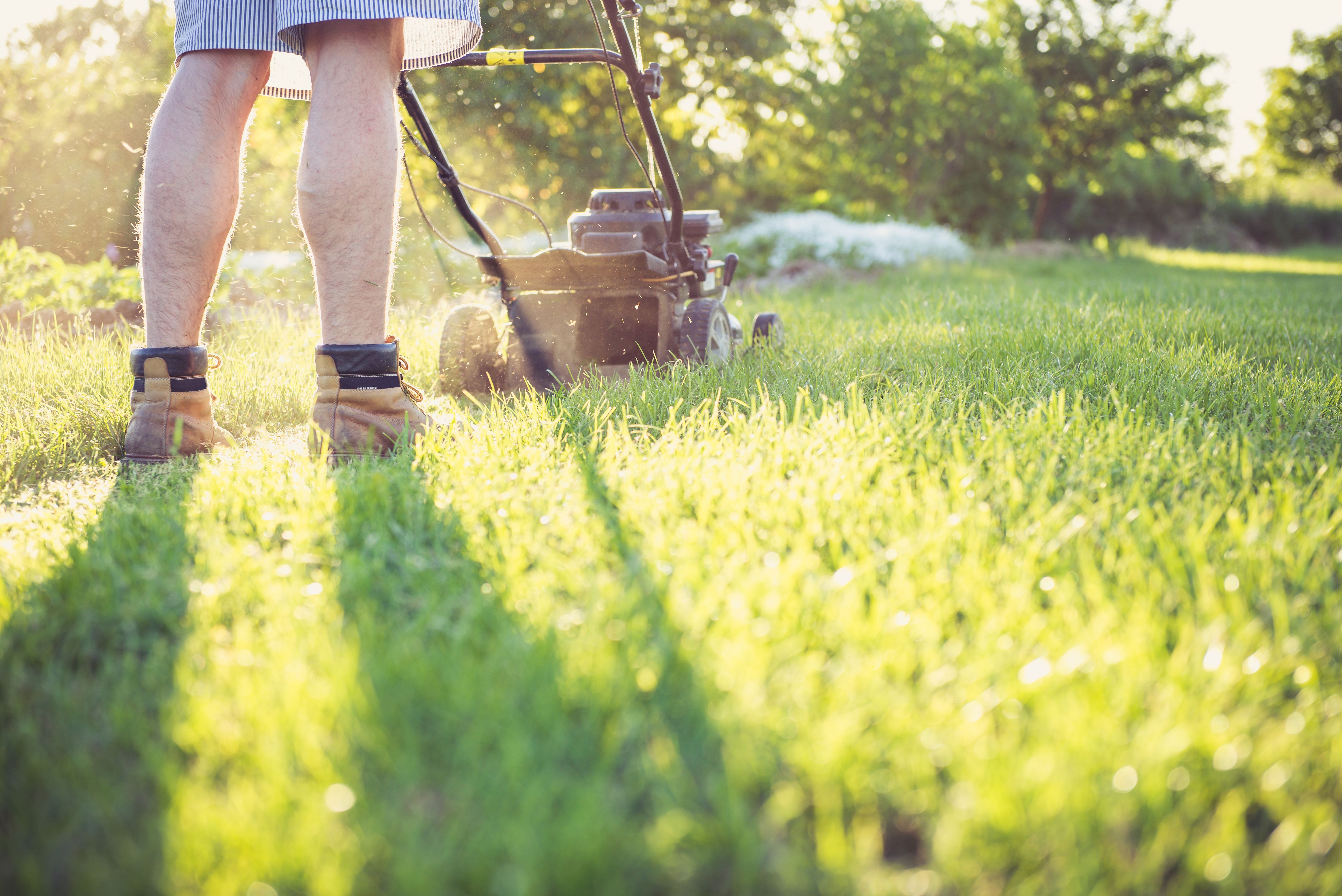 Professional mowing a residential lawn